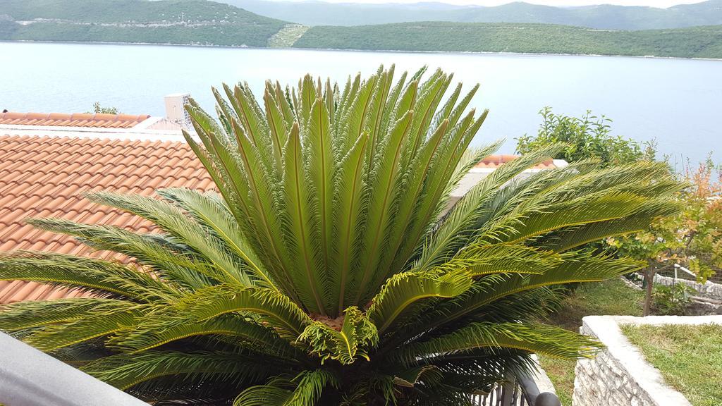 Apartments Cytrus Neum Exterior foto