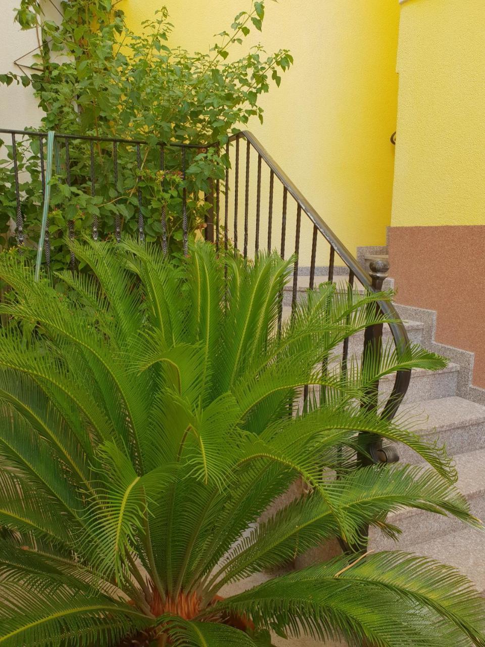 Apartments Cytrus Neum Exterior foto